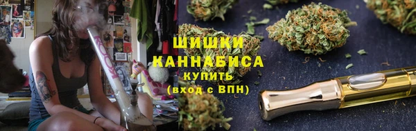 ГАЛЛЮЦИНОГЕННЫЕ ГРИБЫ Семилуки